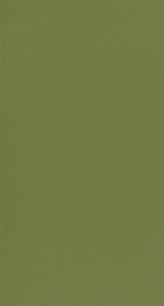 Unitapete Tapete grasgrün Caselio - Autour du Monde Texdecor ADM69867313