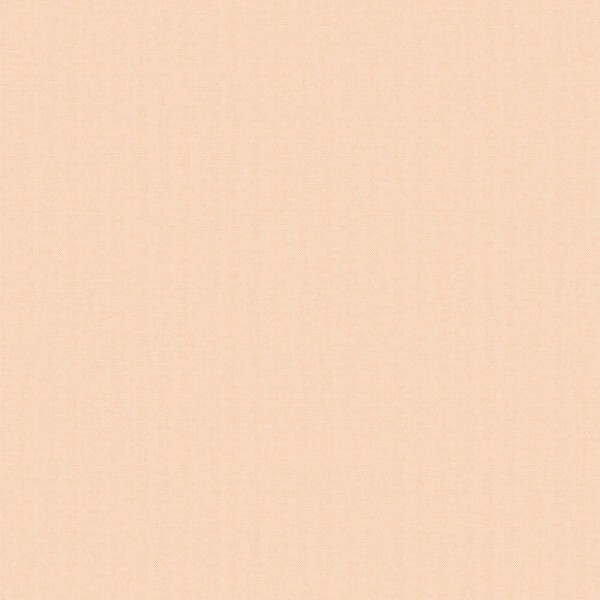 Plain wallpaper wallpaper orange Pippo Rasch Textil 104636