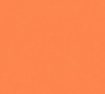 34248-5, 342485 Vliestapete X-Ray AS Creation Uni orange Wohnzimmer