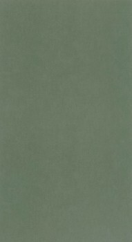 Unisex Green Wallpaper Caselio - Young and free Texdecor YNF64524044