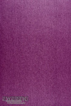 36-INF24825105 Casadeco Infinity Vliestapete violett Uni schimmernd