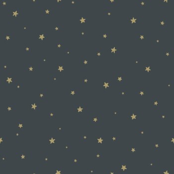 Dunkelblau und golde Vliestapete Nachthimmel Woodland Rasch Textil 139261