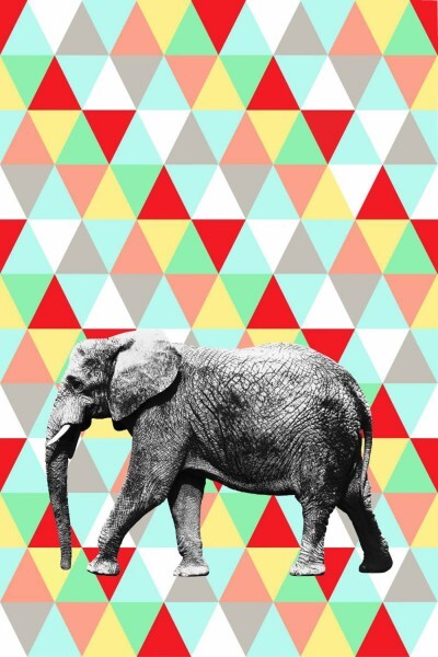 Bunt Elefant Wandbild Xl