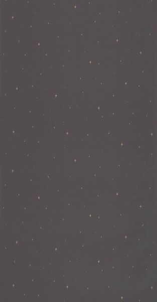 Stars Black Wallpaper Caselio - La Foret Texdecor FRT102969983