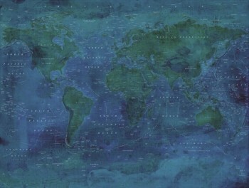 Mural night world map