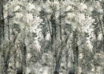 Lind-Grün Wandbild Wald Bäume 62-ODED191802 Tenue de Ville ODE