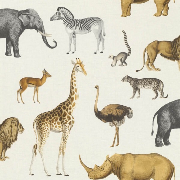 African animals zoo animals wallpaper white Onszelf Stories Rasch 552683