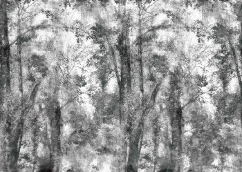 Wald Fototapete Grau Bäume Natur Tenue de Ville ODE 62-ODED191805