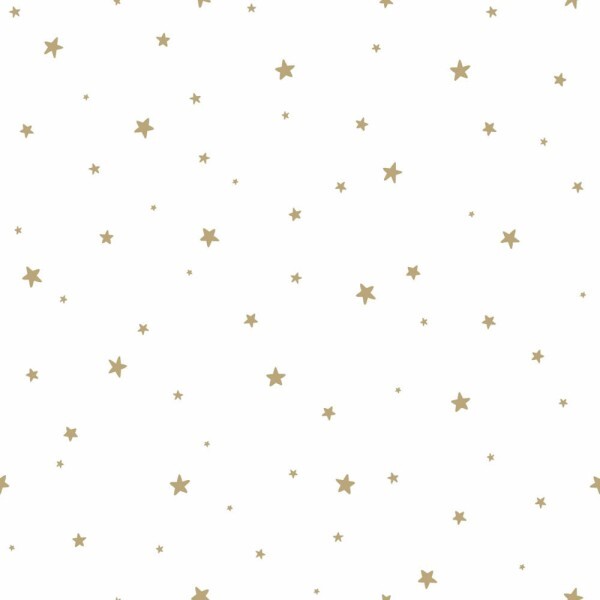 night sky stars wallpaper white and gold Woodland Rasch Textil 039259